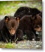 The Three Bears Metal Print