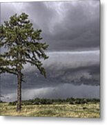 The Thunder Rolls - Storm - Pine Tree Metal Print
