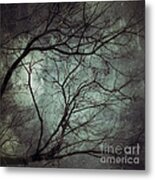 The Unknown Metal Print