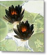 The Water Lilies Collection - Photopower 1040 Metal Print