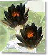 The Water Lilies Collection - Photopower 1041 Metal Print
