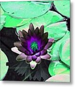 The Water Lilies Collection - Photopower 1113 Metal Print