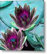 The Water Lilies Collection - Photopower 1124 Metal Print