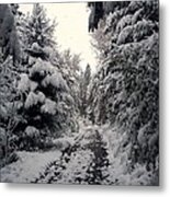 The Way In Snow Metal Print