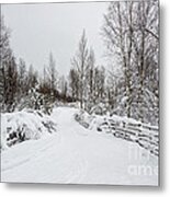 The Way To Narnia Metal Print