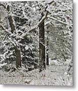 The Weight Of Winter Metal Print