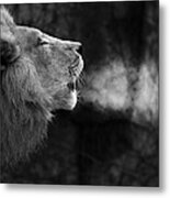 The Will Of The King Metal Print
