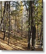 The Woods Metal Print