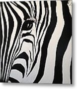 The Zebra With One Eye Metal Print