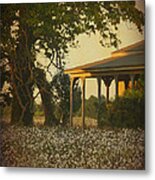 Those Old Cotton Fields Back Home Metal Print