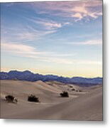 Three In The Sand Metal Print