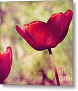 Three Tulips Metal Print