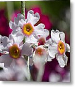 Three Yellow Faces Metal Print