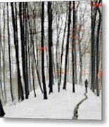 Through Autumn And Winter Metal Print