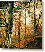 Through The Island Forest Metal Print