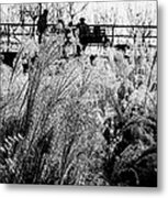 Through The Winter Grasses Metal Print