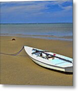 Thumpertown Beach Lowtide 3 Metal Print