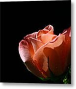 Tickled Coral Metal Print