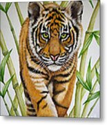 Tiger Cub Metal Print