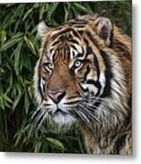 Tiger In The Bush Metal Print
