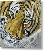 Tiger Painting Metal Print
