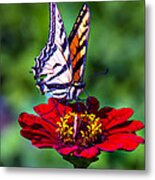 Tiger Tail On Red Flower Metal Print