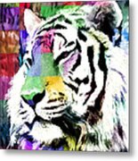 Tiger - Tigre Metal Print