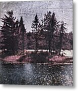 Tintype Raspberry Seney Metal Print