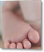 Tiny Toes Metal Print