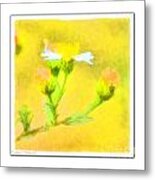 Tiny Wildflowers-digital Paint Ii - White Frame Metal Print