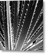 To The Sky Metal Print