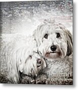 Together Metal Print