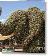 Topiary Elephant Metal Print