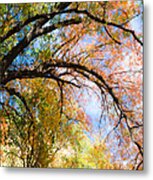 Touch Of Fall Metal Print