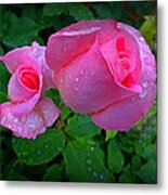 Touch Of Pink Metal Print