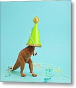 Toy Dinosaur Wearing A Party Hat Metal Print