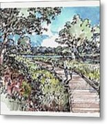 Trail Metal Print