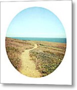 Trail Of Beauty Metal Print