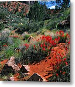 Trail To The Watchman Metal Print