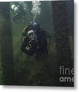 Train Bridge Scuba Dive Metal Print