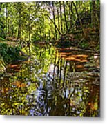 Tranquility Revisited Metal Print