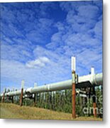 Trans-alaska Pipeline Metal Print