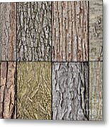 Tree Bark Metal Print