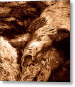 Tree Trunk Metal Print