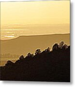 Treeline Metal Print