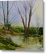 Trees And Pond Metal Print