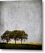 Trees At Sunrise Metal Print