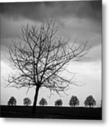 Trees Black And White Metal Print