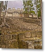 Trees Grow At Calakmul Ruins Metal Print