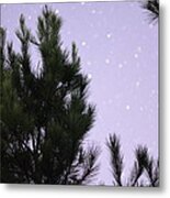 Trees Under The Stars Metal Print